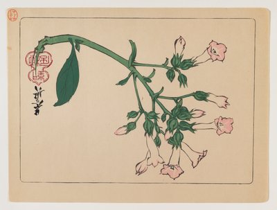Flowering Plant from the Series Hana Kurabe by Shibata Zeshin